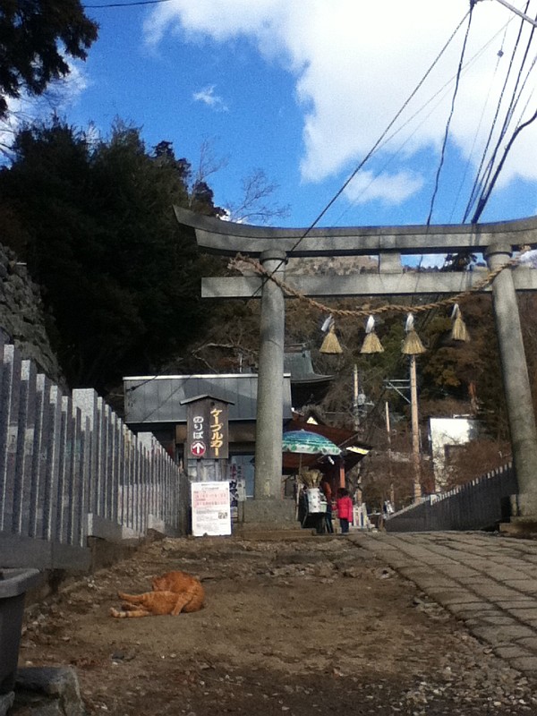 筑波山 うっすら積雪の山歩き 山歩きの記録