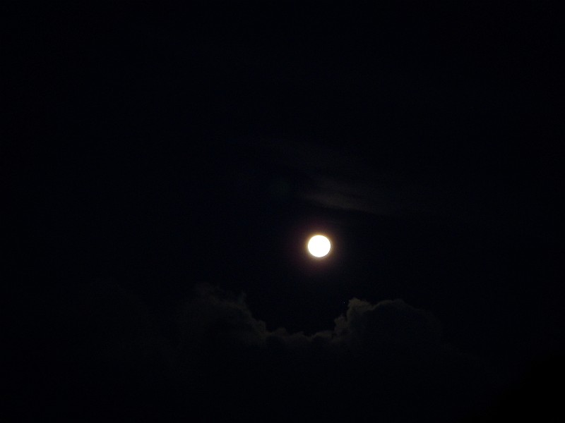 光を放つお月さん。