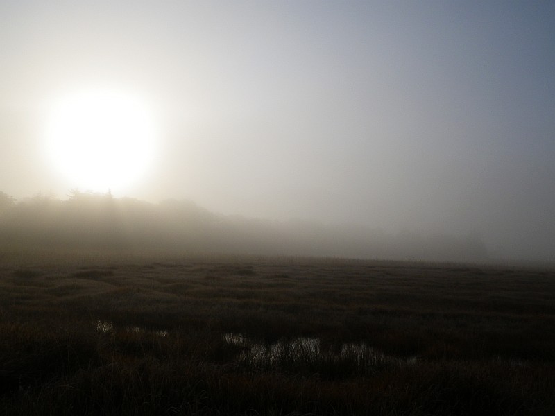 朝靄の中、ぼんやりと浮かぶ朝日。