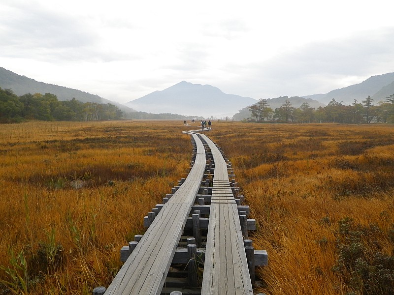 燧ヶ岳へと延びる木道。