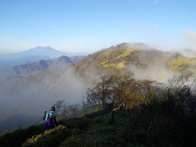 富士山を眺めながら笹原の広がる尾根を歩きます。