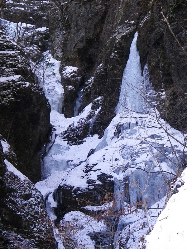 「養老の滝」の氷瀑（滝が凍結してできたもの）。