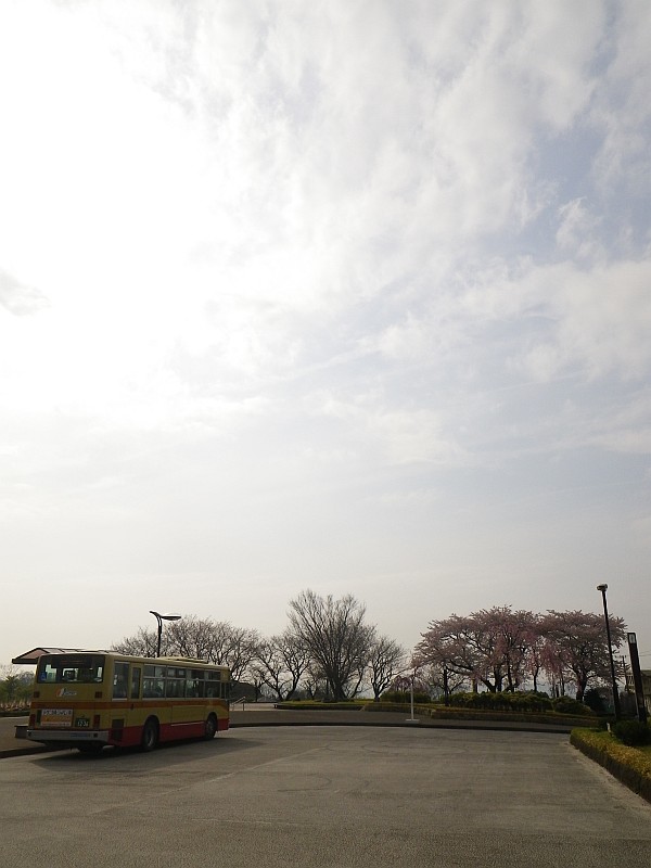 桜咲く大倉バス停からスタート