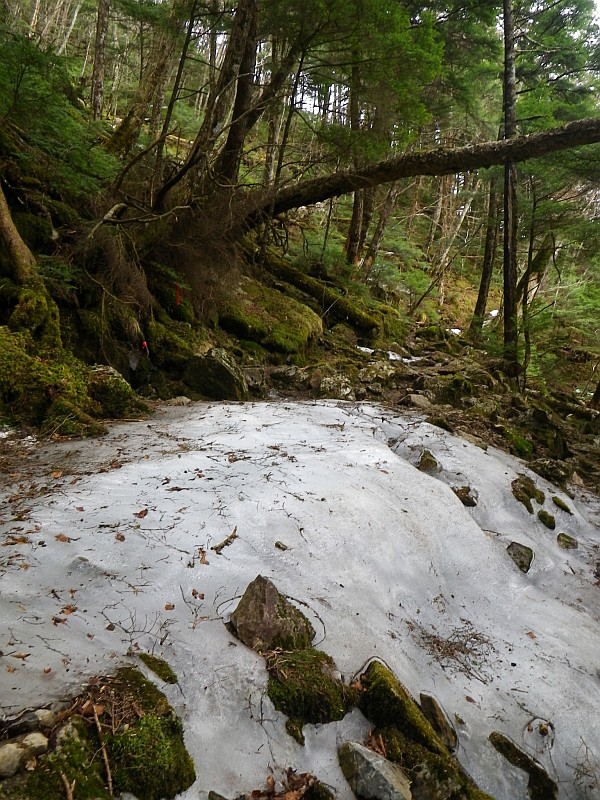 飛龍山の登りの一部に氷がこんもり盛られています。注意！