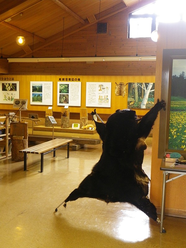 ビジターセンター内のハイテンションなクマ。