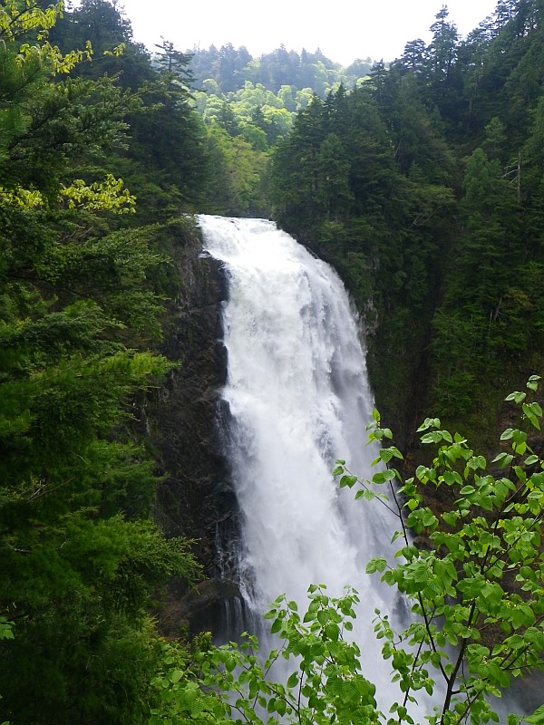 落差100mで直瀑（ほぼ垂直に落下する滝）規模は日本最大級の三条ノ滝。