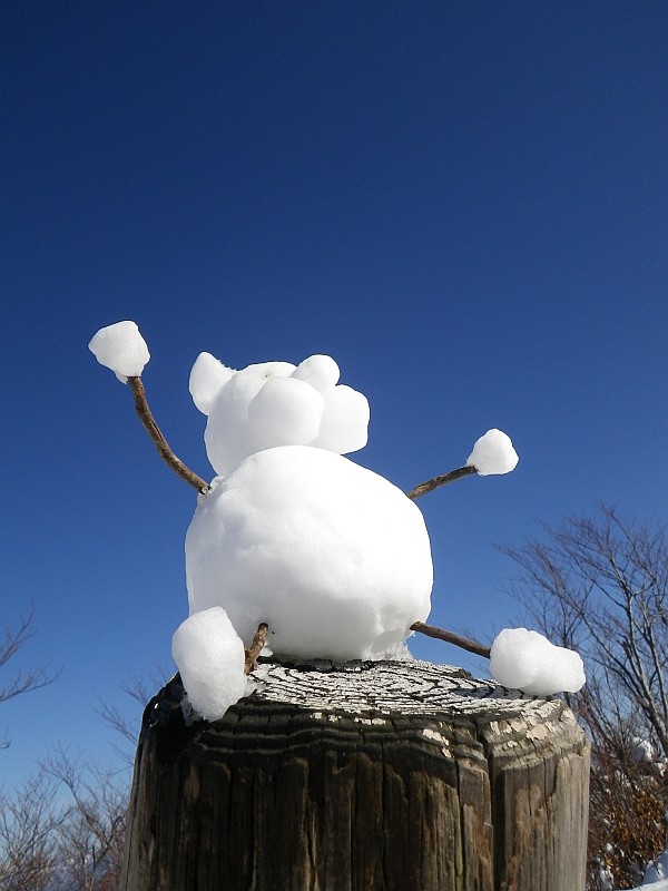 友人Kとの合作オリジナル雪ダルマ。