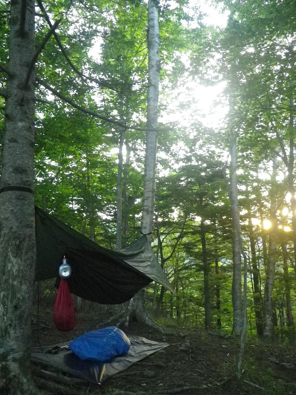 木々の間から今にも朝日が昇らんとしている奥多摩小屋のテン場。