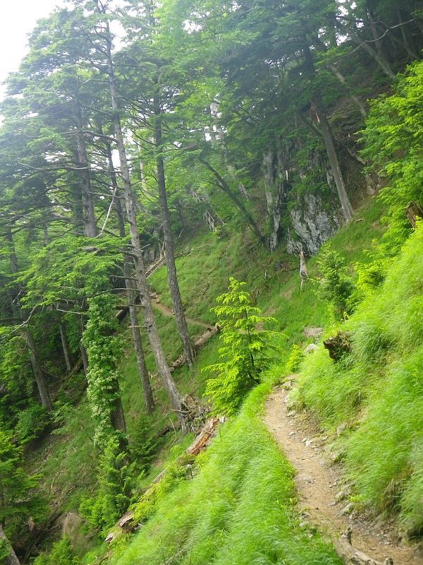 静かで気持ちいい山歩き。でも冬場は滑落注意の場所だ。