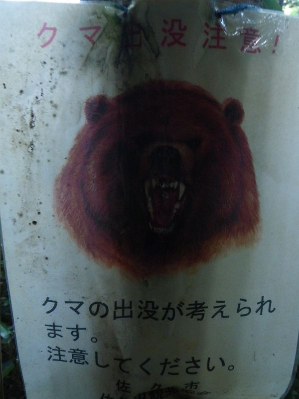 クマ、怖い。
