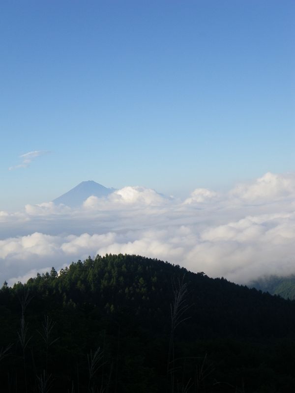 道満山越しに雲海に浮かぶ富士山。
