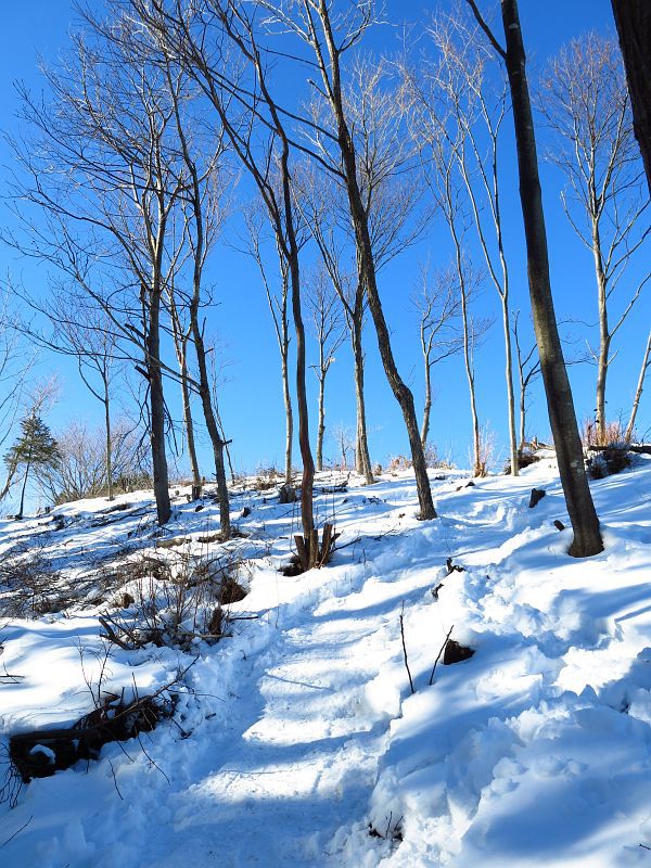 雪の白と空の青とのコントラストが眩しい山頂へ。
