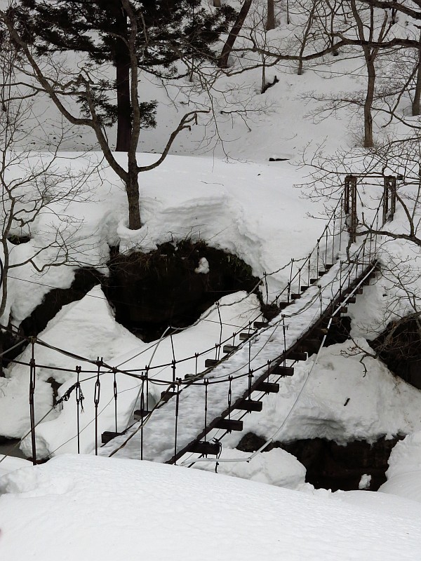 福島屋さん裏の吊り橋を渡って大滝展望台方面へ。