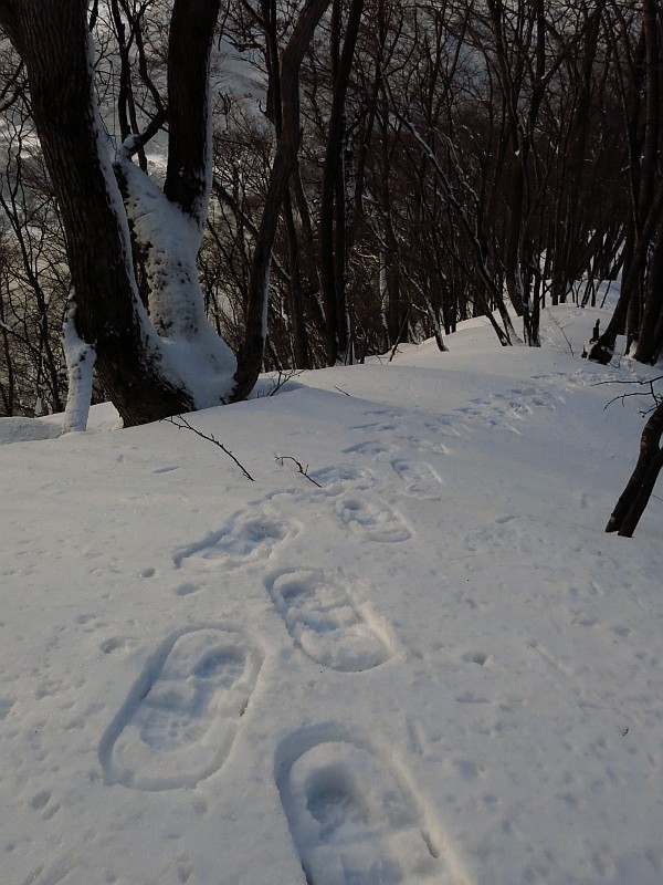 淡々と登ります。