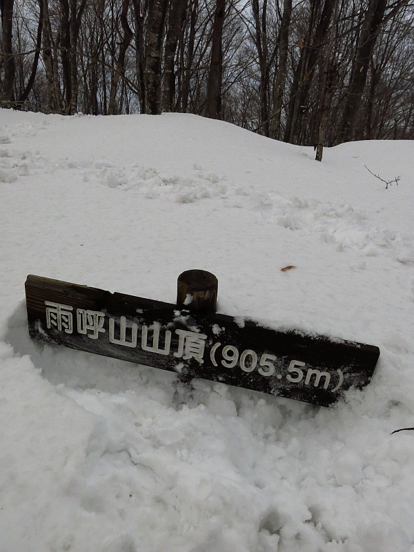 頭だけ出ていたので辛うじて気が付いた山頂標識。