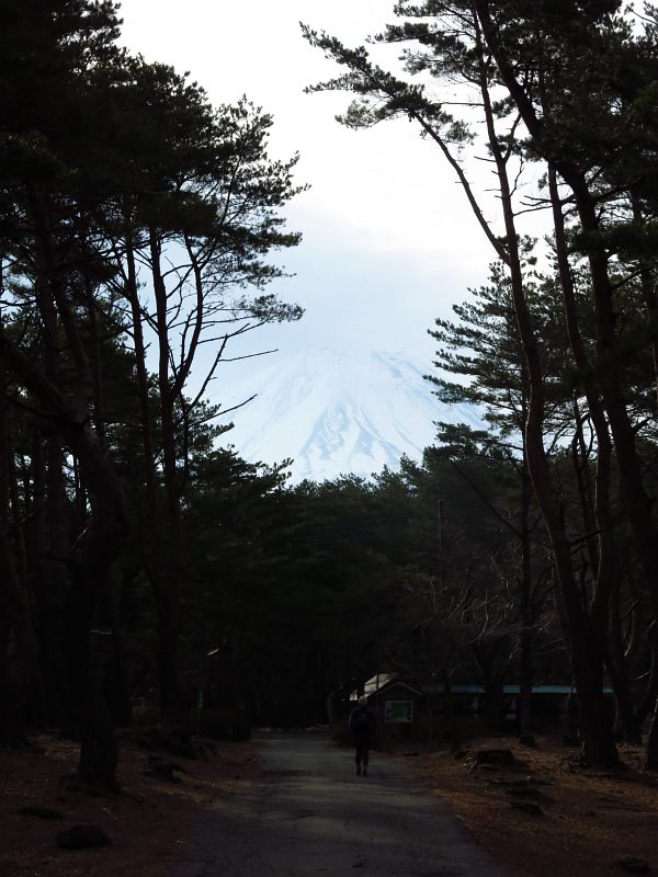 奥に見える富士山に向かって歩きます。（毛無山/竜ヶ岳は別の方角にあります）