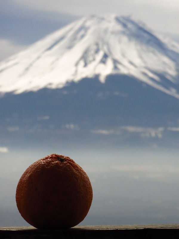 しゃっくりが収まるまでみかん富士を撮影。