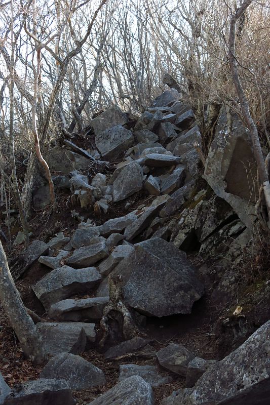 黒檜山登山口からの山道は、最初から露岩の急登です。
