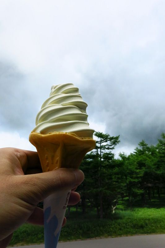 嬬恋村特産の高原キャベツを使ったキャベツソフトクリーム（450円）。