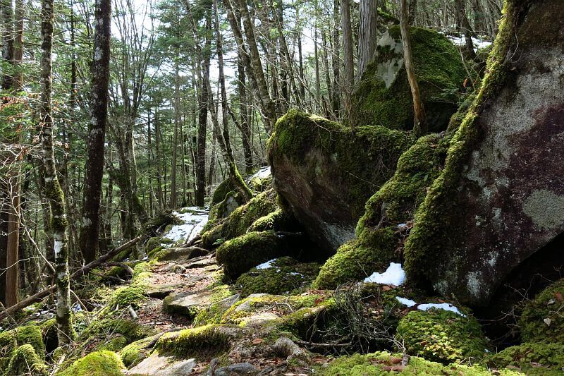 六本木峠～丸川峠区間は岩と苔の世界です。