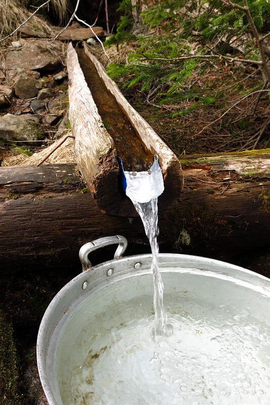 南御室小屋では正真正銘の『南アルプスの天然水』が飲めます。