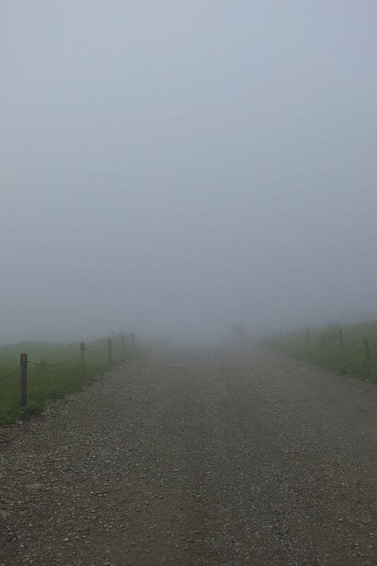 深い霧で先が見えない道を進みます。