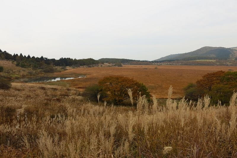 八島ヶ原湿原へと戻ってきました。