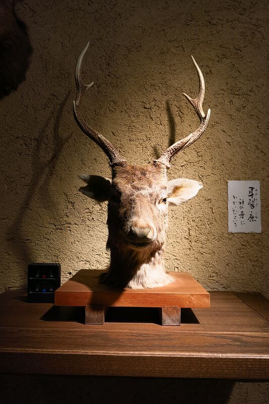 神の矛にかかったとされる耳裂鹿。
