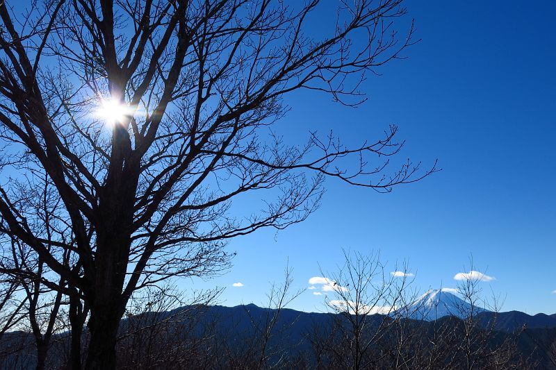 笹子雁ヶ腹摺山山頂からの眺め。